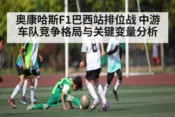奥康哈斯F1巴西站排位战 中游车队竞争格局与关键变量分析