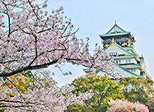 疫情期间伍兹享受居家时光 因背伤难找回满分状态